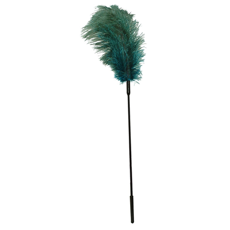 Turquoise Feather