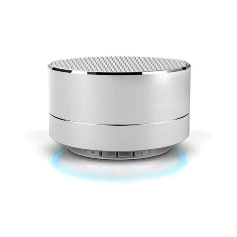 Głośnik Reekin Marlin Z Zestawem Głośnomówiącym Bluetooth (Srebrny)