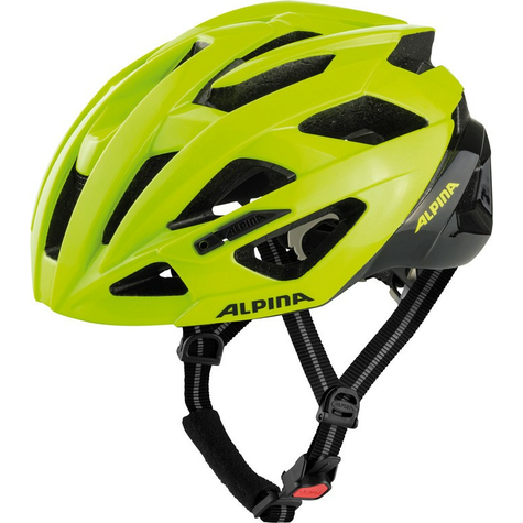 Alpina Valparola Bicycle Helmet