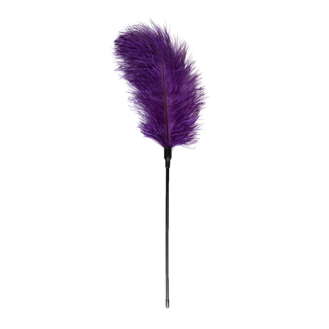 Ball Gag : Purple Feather Tickler