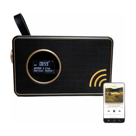 Albrecht Dr 750 Radio Cyfrowe, Dab+/Ukw