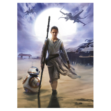 Tapeta Papierowa - Star Wars Rey - Rozmiar 184 X 254 Cm
