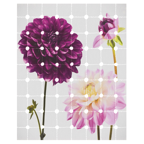 Fototapety  - Flowers & Dots - Rozmiar 200 X 250 Cm