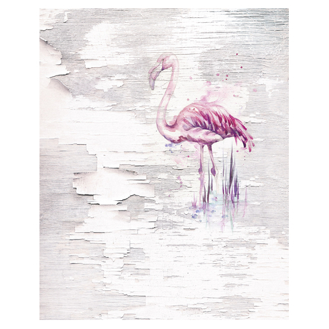 Fototapety  - Pink Flamingo - Rozmiar 200 X 250 Cm