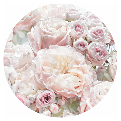 Self-Adhesive Non-Woven Wall Mural / Wall Tattoo - Pink And Cream Roses - Size 125 X 125 Cm