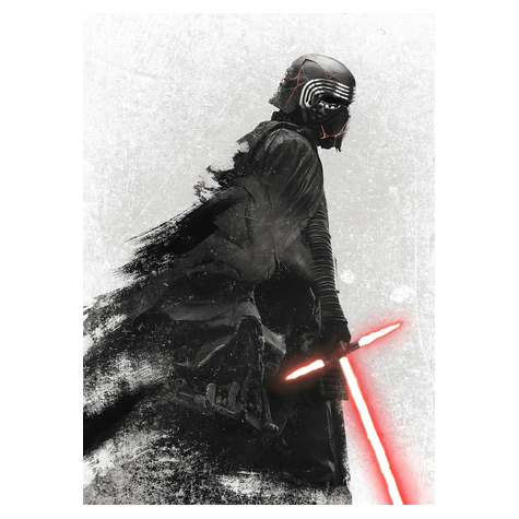 Fototapety  - Star Wars Kylo Vader Shadow - Rozmiar 200 X 280 Cm