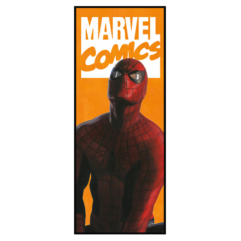 Fototapety  - Spider-Man Comic - Rozmiar 100 X 250 Cm
