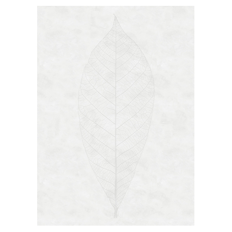 Non-Woven Wallpaper - Decent Leaf - Size 200 X 280 Cm