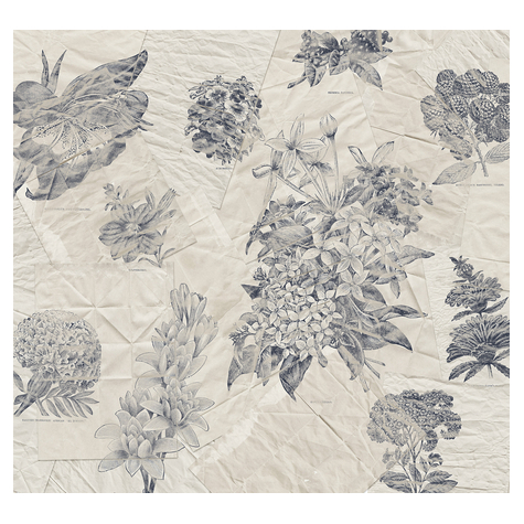 Non-Woven Wallpaper - Botanical Papers - Size 300 X 280 Cm