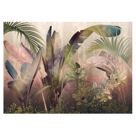 Non-Woven Wallpaper - Rainforest Mist - Size 350 X 250 Cm