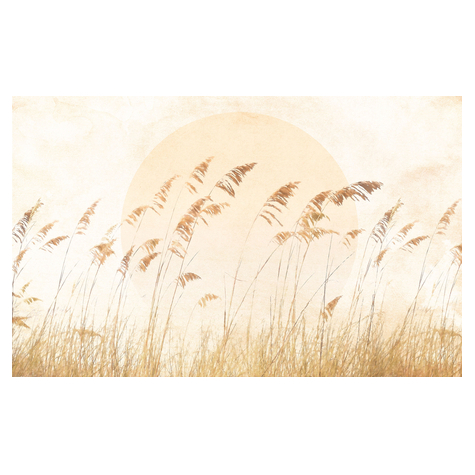 Tapeta Włókninowa - Dune Grass - Rozmiar 400 X 250 Cm