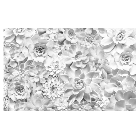 Non-Woven Wallpaper - Shades Black And White - Size 400 X 250 Cm