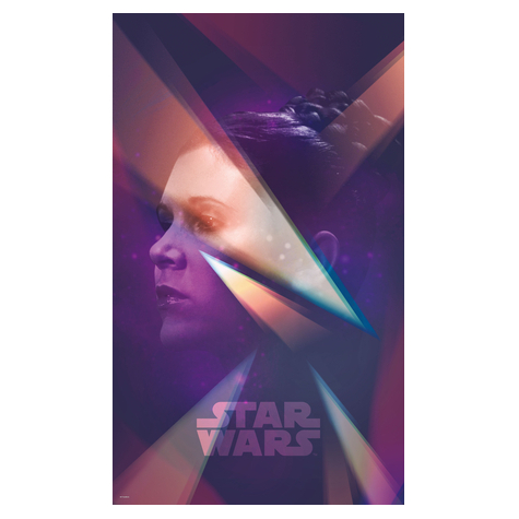 Fototapety  - Star Wars Kobieta Leia - Rozmiar 120 X 200 Cm