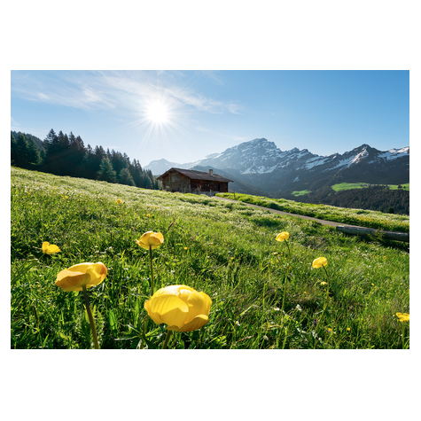 Fototapety  - Alpejskie Szczęście - Rozmiar 400 X 280 Cm
