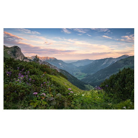 Fototapety  - Park Przyrody Allgäu High Alps - Rozmiar 450 X 280 Cm