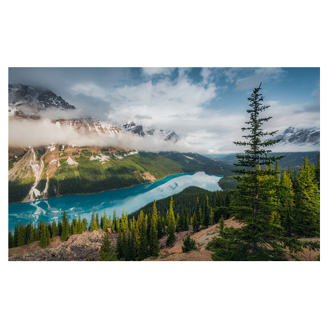 Fototapety  - Wonderland Canada - Wymiar 450 X 280 Cm