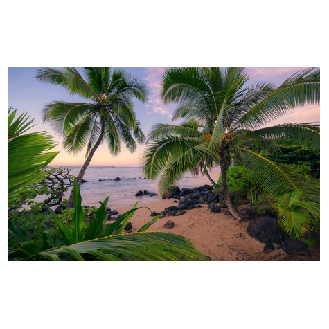 Fototapety  - Hawaiian Dreams - Wymiar 450 X 280 Cm