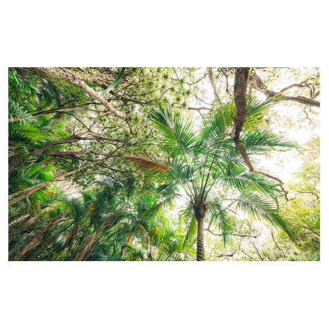 Fototapety  - Touch The Jungle - Rozmiar 450 X 280 Cm
