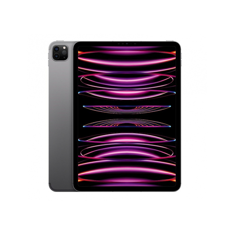 Apple Ipad Pro 11 Wi-Fi 1tb Space Gray 4th Generation Mnxk3fd/A