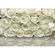 Photomurals  Photo Wallpaper - A La Rose - Size 368 X 254 Cm