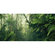 Fototapety  - Tropical Worlds - Rozmiar 500 X 250 Cm