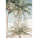 Fototapety  - Palm Oasis - Rozmiar 200 X 280 Cm