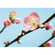 Fototapety  - Peach Blossom - Rozmiar 350 X 250 Cm