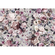 Fototapety  - Lovely Blossoms - Rozmiar 350 X 250 Cm