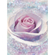 Fototapety  - Delicate Rose - Rozmiar 200 X 260 Cm