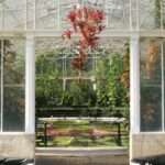 Zimowy ogród – co warto wiedzieć?